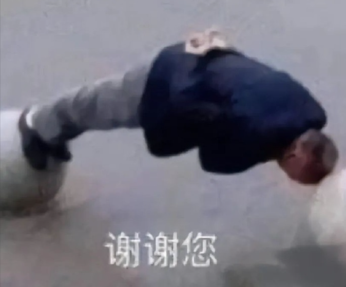 202503051741145335849921.png